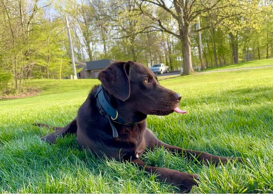 5"x7" Wood Engraved Photo